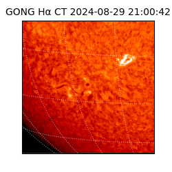 gong - 2024-08-29T21:00:42