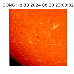 gong - 2024-08-29T23:00:02