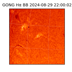 gong - 2024-08-29T22:00:02