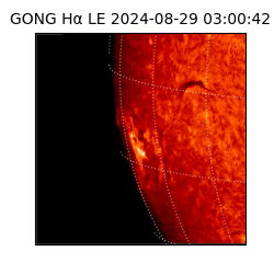 gong - 2024-08-29T03:00:42