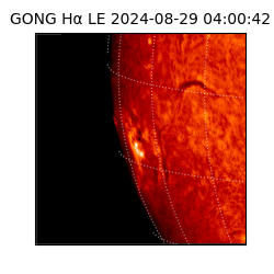 gong - 2024-08-29T04:00:42