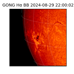 gong - 2024-08-29T22:00:02