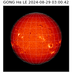 gong - 2024-08-29T03:00:42