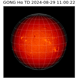 gong - 2024-08-29T11:00:22