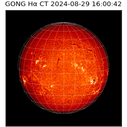 gong - 2024-08-29T16:00:42
