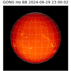 gong - 2024-08-29T23:00:02