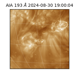 saia - 2024-08-30T19:00:04.843000