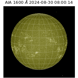 saia - 2024-08-30T08:00:14.125000