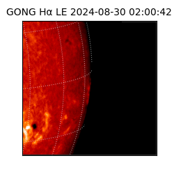 gong - 2024-08-30T02:00:42