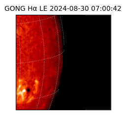 gong - 2024-08-30T07:00:42