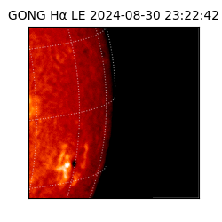gong - 2024-08-30T23:22:42