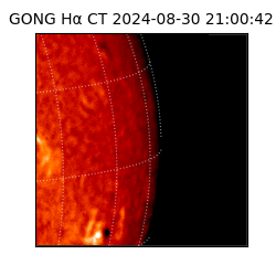 gong - 2024-08-30T21:00:42