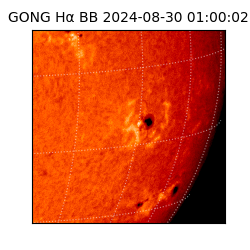 gong - 2024-08-30T01:00:02