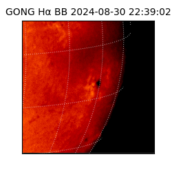 gong - 2024-08-30T22:39:02