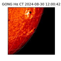 gong - 2024-08-30T12:00:42
