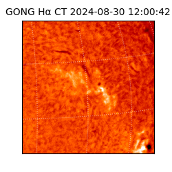 gong - 2024-08-30T12:00:42