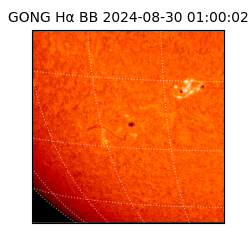 gong - 2024-08-30T01:00:02