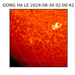 gong - 2024-08-30T02:00:42