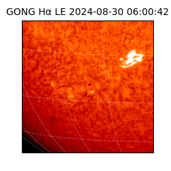 gong - 2024-08-30T06:00:42