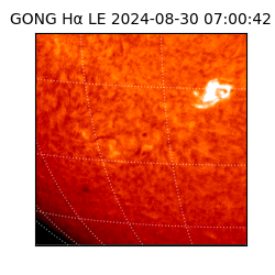 gong - 2024-08-30T07:00:42