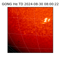 gong - 2024-08-30T08:00:22