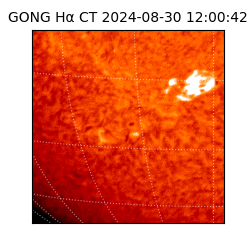gong - 2024-08-30T12:00:42