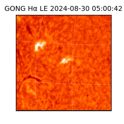 gong - 2024-08-30T05:00:42