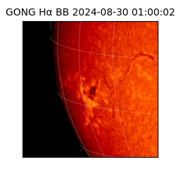 gong - 2024-08-30T01:00:02
