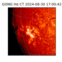 gong - 2024-08-30T17:00:42