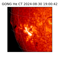 gong - 2024-08-30T19:00:42