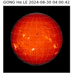gong - 2024-08-30T04:00:42