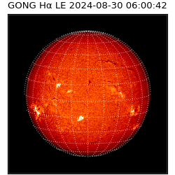 gong - 2024-08-30T06:00:42