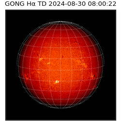 gong - 2024-08-30T08:00:22