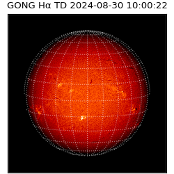gong - 2024-08-30T10:00:22