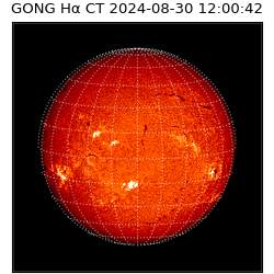 gong - 2024-08-30T12:00:42