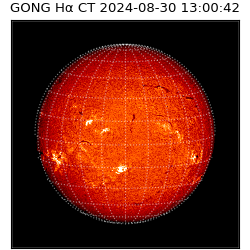 gong - 2024-08-30T13:00:42