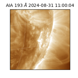 saia - 2024-08-31T11:00:04.843000