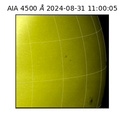saia - 2024-08-31T11:00:05.962000