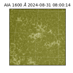 saia - 2024-08-31T08:00:14.118000