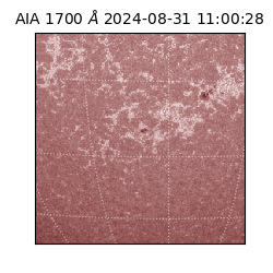 saia - 2024-08-31T11:00:28.717000