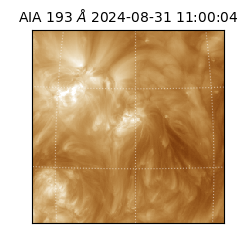 saia - 2024-08-31T11:00:04.843000