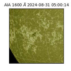 saia - 2024-08-31T05:00:14.125000