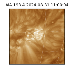 saia - 2024-08-31T11:00:04.843000