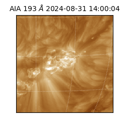 saia - 2024-08-31T14:00:04.843000