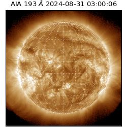 saia - 2024-08-31T03:00:06.810000
