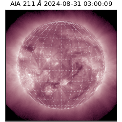 saia - 2024-08-31T03:00:09.622000