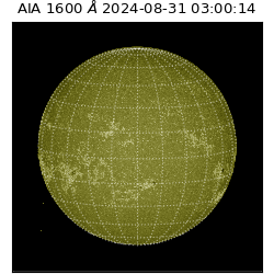 saia - 2024-08-31T03:00:14.126000