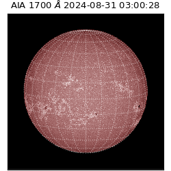 saia - 2024-08-31T03:00:28.721000