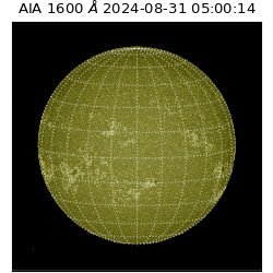 saia - 2024-08-31T05:00:14.125000