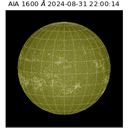 saia - 2024-08-31T22:00:14.126000